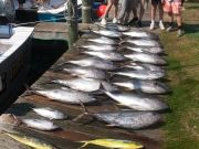 True Grit Sportfishing, Family Day