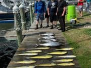 True Grit Sportfishing, Monday's Catch