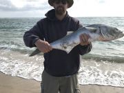 TW’s Bait & Tackle, Daily Fishing Report