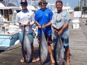 Pirate's Cove Marina, Still some tuna!