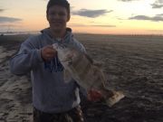 TW’s Bait & Tackle, Daily fishing Report