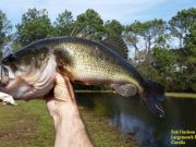 TW’s Bait & Tackle, Daily Fishing Report