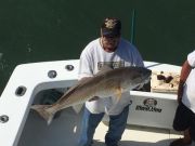 TW’s Bait & Tackle, Daily Fishing Report