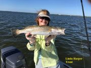 TW’s Bait & Tackle, Daily Fishing Report