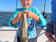 Miss Oregon Inlet II Head Boat Fishing, 7-22-25
