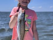 TW’s Bait & Tackle, Daily Fishing Report