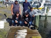 TW’s Bait & Tackle, Daily Fishing Report