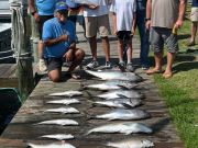 True Grit Sportfishing, Marlin Day