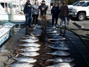 TW’s Bait & Tackle, Daily Fishing Report