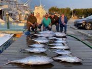 Pirate's Cove Marina, Tuna Slam!