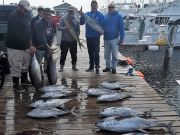 Pirate's Cove Marina, Rough Seas?  Fish Don't Care!