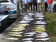 True Grit Sportfishing, Great Wednesday