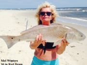 TW’s Bait & Tackle, Daily Fishing Report