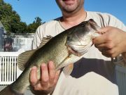 TW’s Bait & Tackle, Daily fishing Report