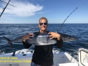 TW’s Bait & Tackle, Daily Fishing Report