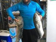 TW’s Bait & Tackle, Daily Fishing Report