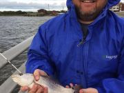 TW’s Bait & Tackle, Daily Fishing Report