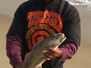 TW’s Bait & Tackle, Daily Fishing Report