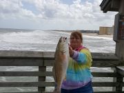 TW’s Bait & Tackle, Daily Fishing Report