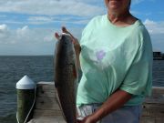 TW’s Bait & Tackle, Daily Fishing Report