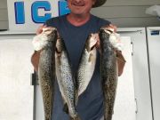 TW’s Bait & Tackle, Daily fishing Report