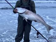 TW’s Bait & Tackle, Daily Fishing Report