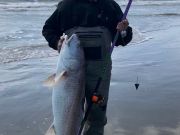 TW’s Bait & Tackle, Daily Fishing Report