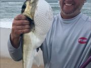 TW’s Bait & Tackle, Daily Fishing Report