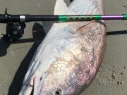 TW’s Bait & Tackle, Daily Fishing Report