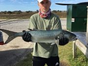 TW’s Bait & Tackle, Daily Fishing Report