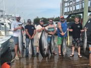 Pirate's Cove Marina, Tuna Time!