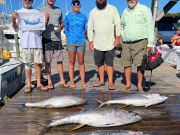 Pirate's Cove Marina, Tuesday’s Catch!