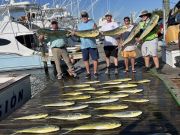 Pirate's Cove Marina, Sunday Mix!