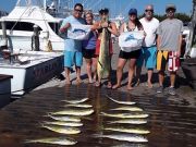 Pirate's Cove Marina, Fishin’ Mission