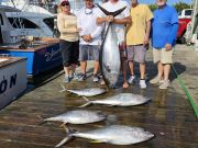 Pirate's Cove Marina, Testy Thursday