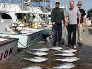 Pirate's Cove Marina, Yellowfin Fever and a Pamilico Slam!