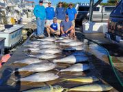 Pirate's Cove Marina, Wednesday’s Catch!