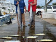 Pirate's Cove Marina, Monday’s Catch!