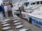 Oregon Inlet Fishing Center, Blackfin Tuna Weekend