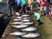 TW’s Bait & Tackle, Daily Fishing Report