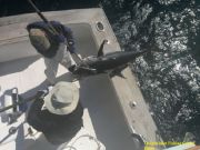 TW’s Bait & Tackle, Daily Fishing Report