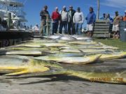 TW’s Bait & Tackle, Daily Fishing Report