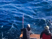 Oregon Inlet Fishing Center, All Part of the Experience