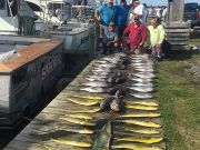 TW’s Bait & Tackle, Daily Fishing Report