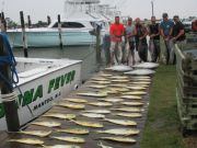 TW’s Bait & Tackle, Daily Fishing Report.