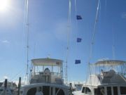 TW’s Bait & Tackle, Daily Fishing Report