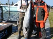 TW’s Bait & Tackle, Daily Fishing Report