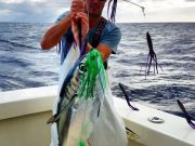 TW’s Bait & Tackle, Daily Fishing Report