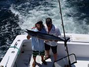 TW’s Bait & Tackle, Daily Fishing Report