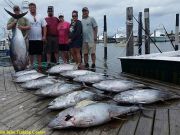 TW’s Bait & Tackle, Daily Fishing Report